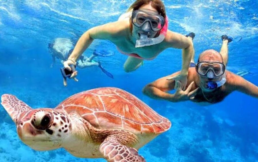 Bali: All-Inclusive Blue Lagoon Snorkeling & Waterfall Tour - Good To Know