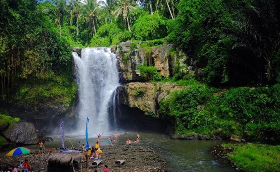 Bali : Ayung Rafting, Monkey Forest and Swing Tour - Good To Know