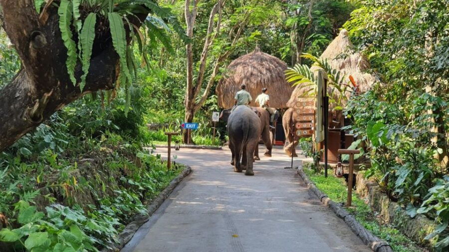 Bali: Bali Safari Day Experiences With Pickup Included - Good To Know