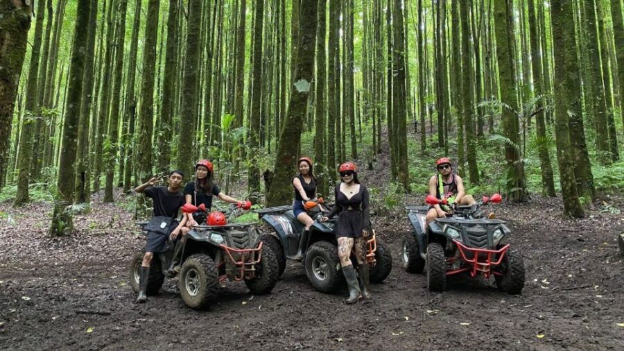 Bali: Bedugul Real Forest Quad Bikes ATV Adventures - Location Details