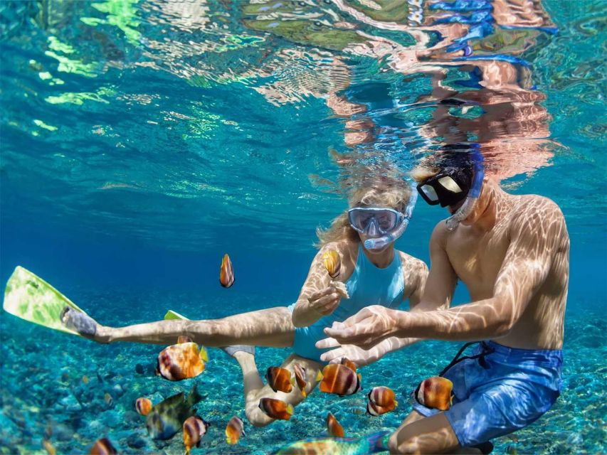 Bali : Best of Nusa Penida Snorkeling & West Tour Inclusive