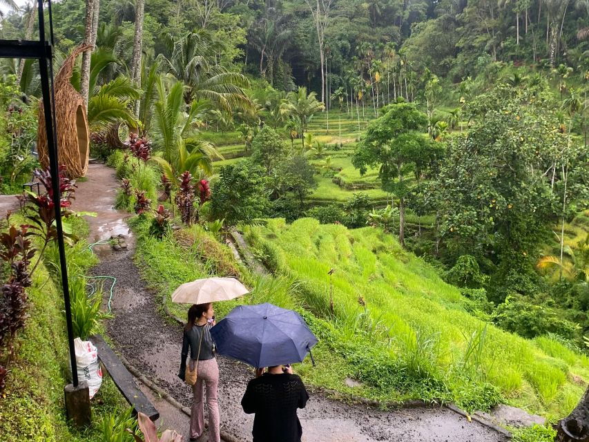 Bali: Best of Ubud Private Tour With Transfers and Guide - Tour Details