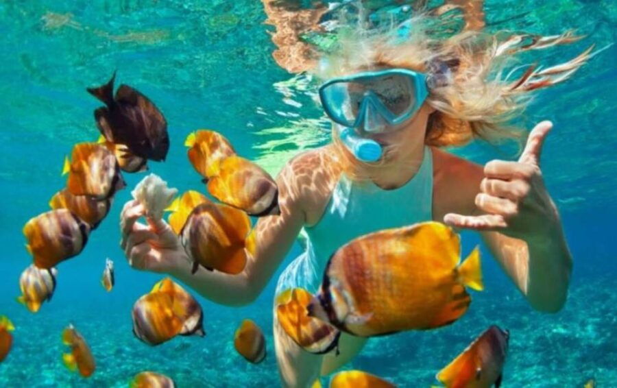 Bali Blue Lagoon Snorkeling: Inclusive of Lunch & Transport - Duration & Logistics Details