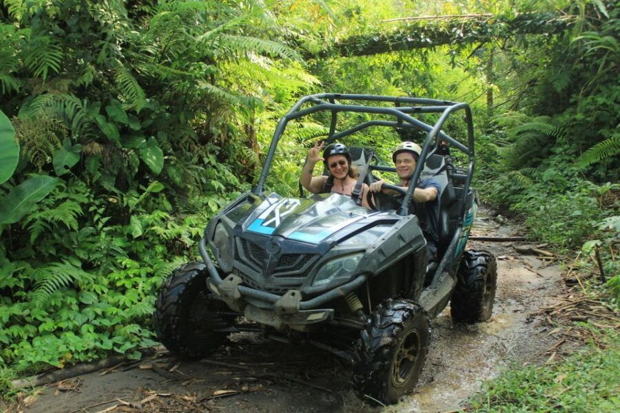 Bali Buggy Discovery Tours