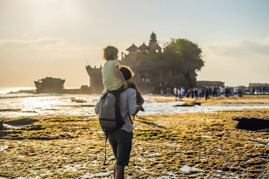 Bali: Customize Your Own Private Guided Tour in Bali - Good To Know