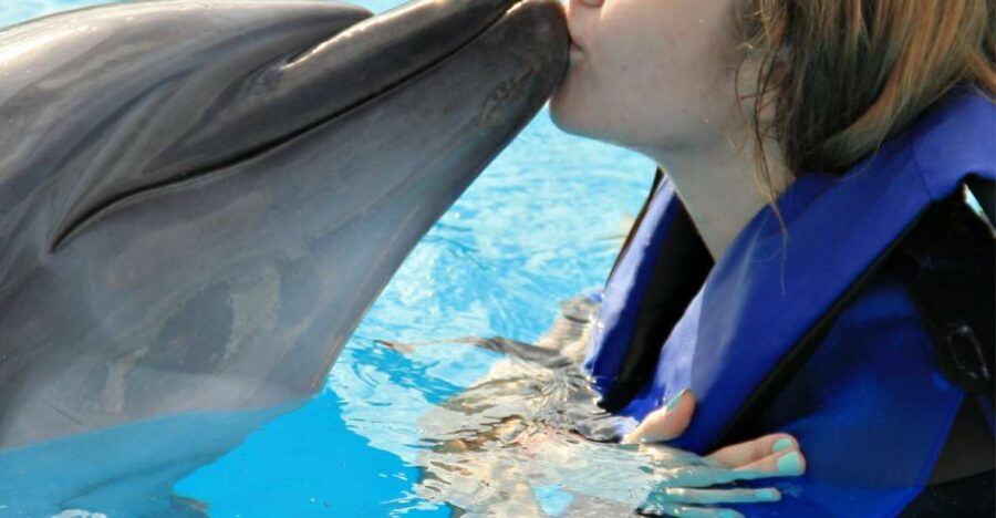 Bali : Full Day Bali Dolphin Tour