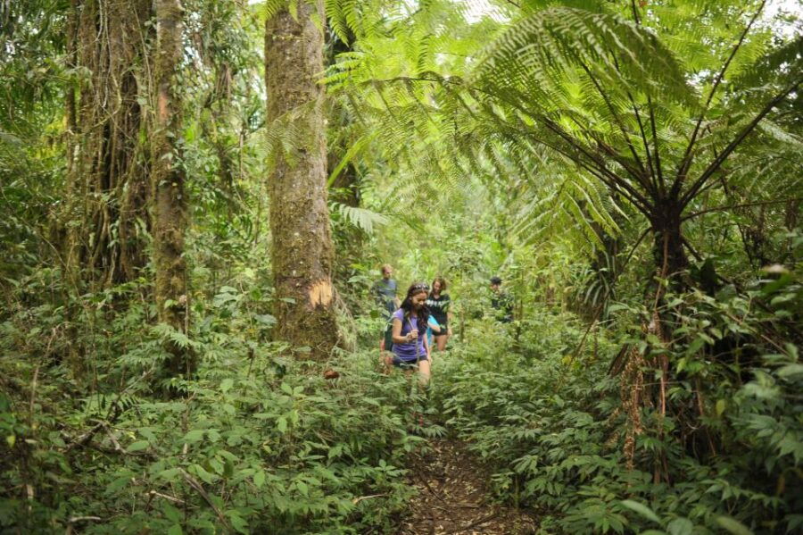 Bali: Half-Day Bayad Eco Hike - Good To Know