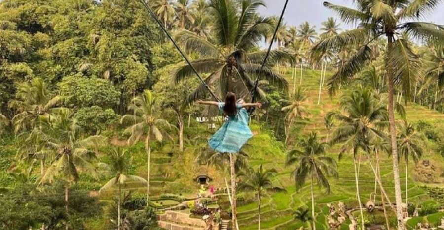 Bali: Hidden Waterfalls Tour and Swing Experience in Ubud