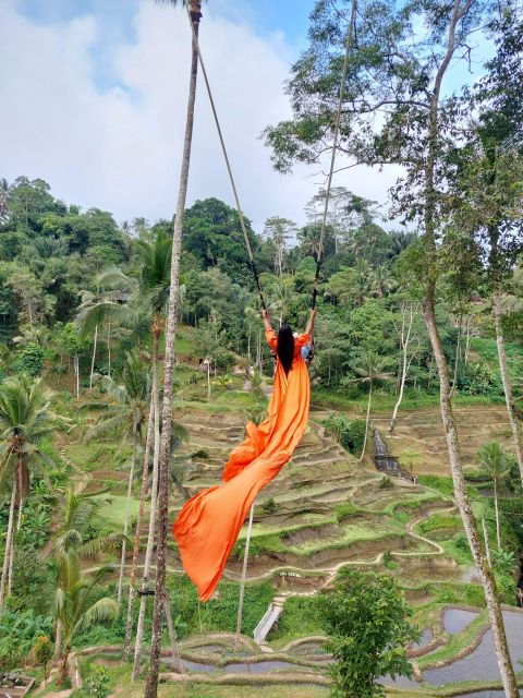 Bali: Instagram Highlight Swing, Rice Terrace and Waterfall - Good To Know