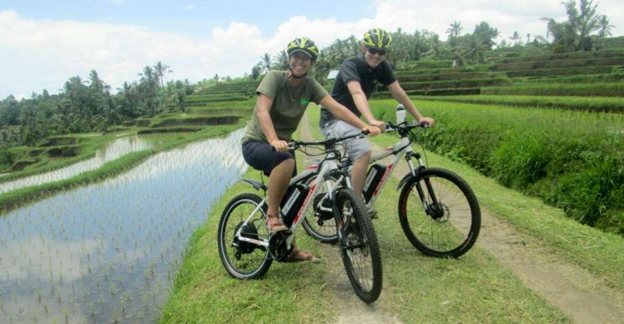 Bali: Jatiluwih Full-Day E-Bike and Trekking Tour - Good To Know