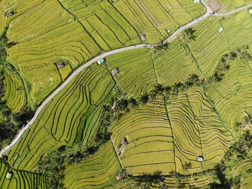 Bali Jatiluwih Rice Terrace and Tanah Lot Tours