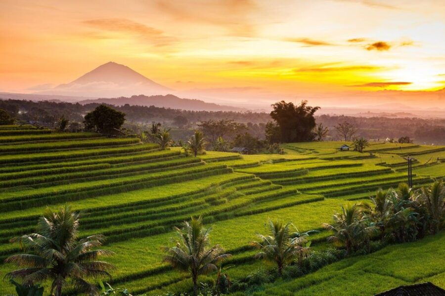 Bali: Jatiluwih Rice Terrace Sunrise Trekking With Breakfast - Breakfast Amidst Rice Terrace Beauty