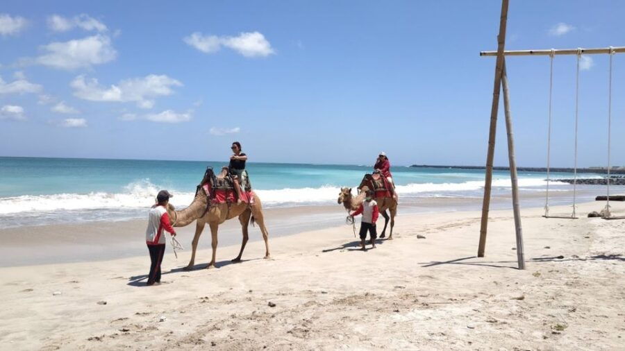 Bali: Kelan Beach Camel Rides Experiences - Sunset Camel Ride Experience