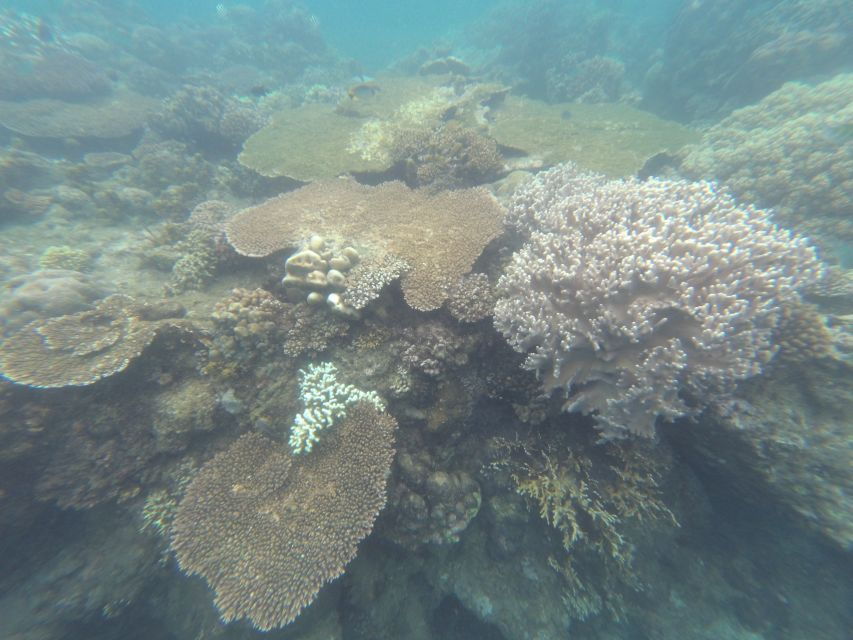 Bali: Labuan Amuk Snorkeling With Lunchbox - Good To Know