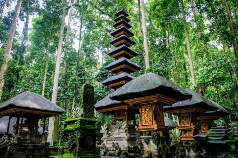 Bali: Monkey Forest, Leke-Leke Waterfall, Unesco Heritage