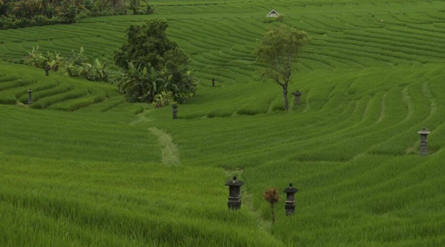 Bali: Secret and Untouristic Tour North West Bali.