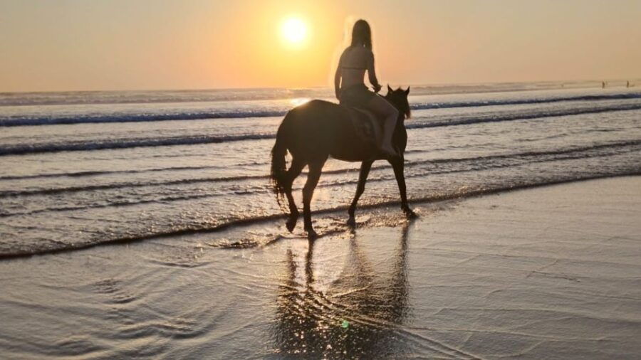 Bali: Seminyak Beach Horse Riding Experience - Good To Know