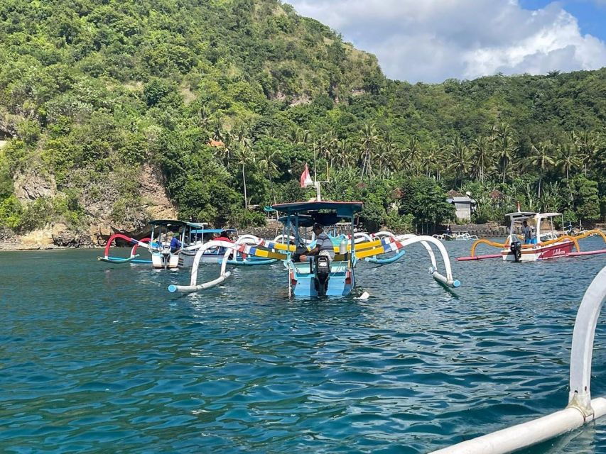 Bali: Snorkeling at Blue Lagoon Beach & Ubud Tour - Morning Hotel Pickup Service