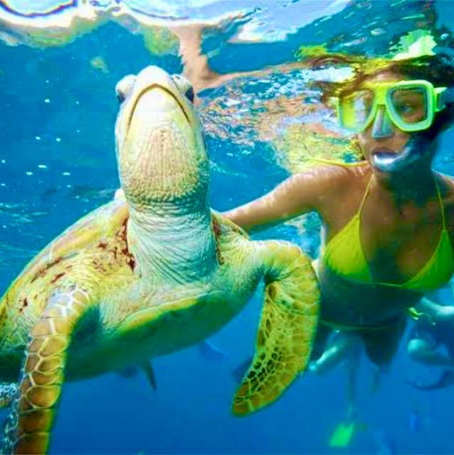 Bali: Snorkeling at Blue Lagoon Beach With Lunch & Transport - Activity Highlights