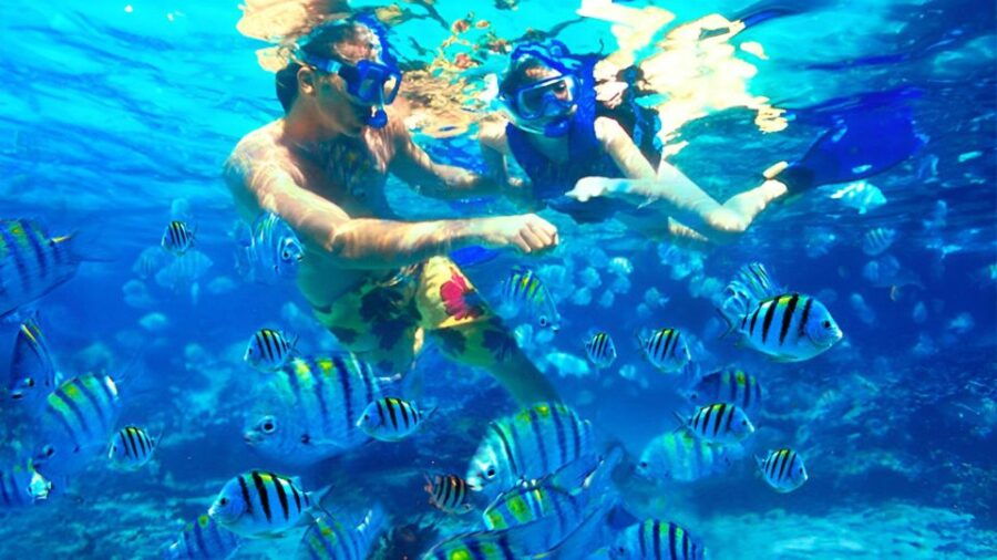 Bali: Snorkeling on 2 Spots With Lunch and Transport - Good To Know