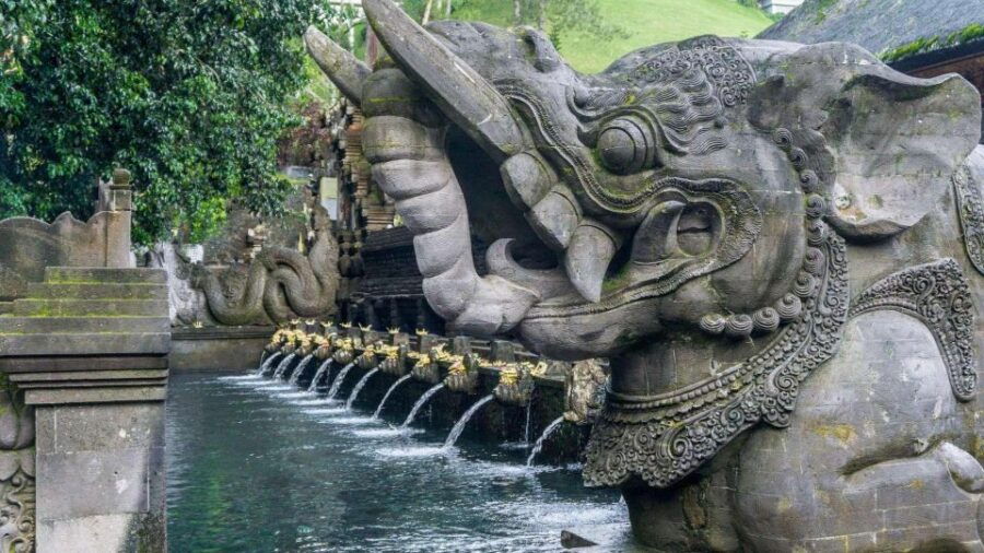 Bali: Tirta Empul, Tibumana Waterfall & Penglipuran Village - Good To Know