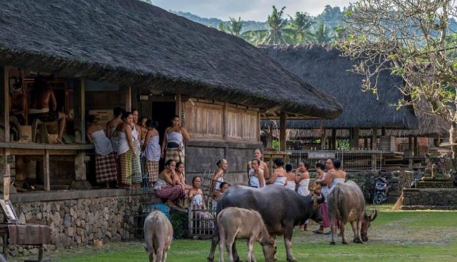 Bali: Tirta Gangga, Taman Ujung and Tenganan Village Tour