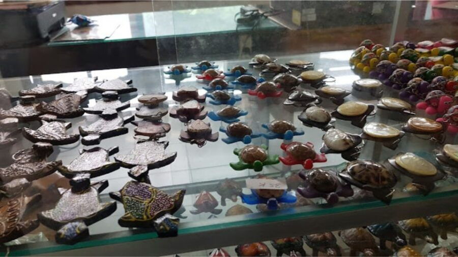 Bali: Turtle Sanctuary Education Visit Experiences - Booking Details