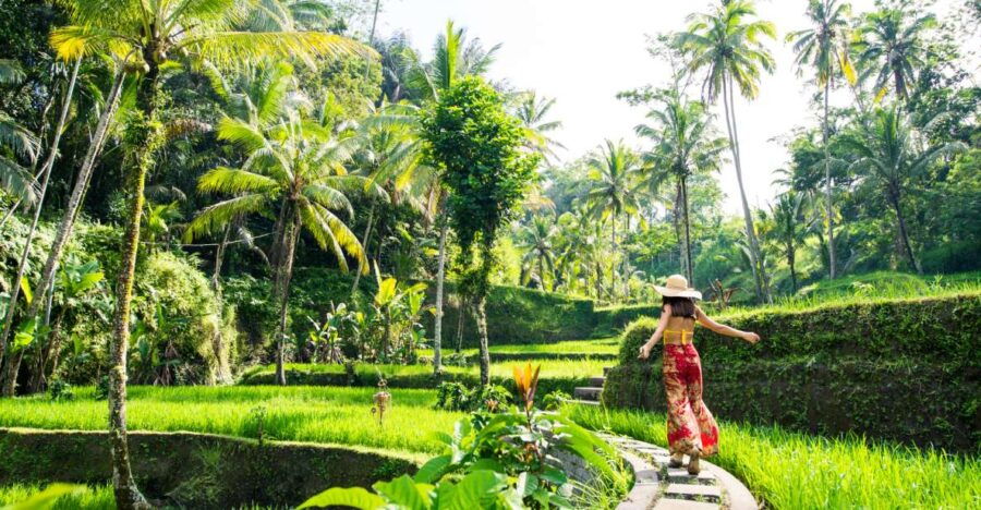 Bali: Ubud Adventure: Rice Terraces, Monkey Forest & Falls - Tour Overview