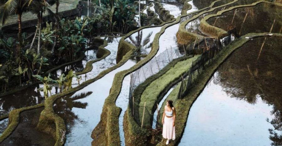 Bali: Ubud Art, Market, Temples, Rice Terrace & Volcano Tour - Good To Know