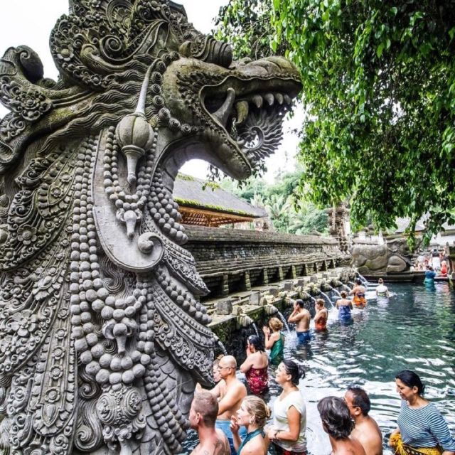 Bali: Ubud Highlights Tour With Private Guide and Transfers - Activity Details