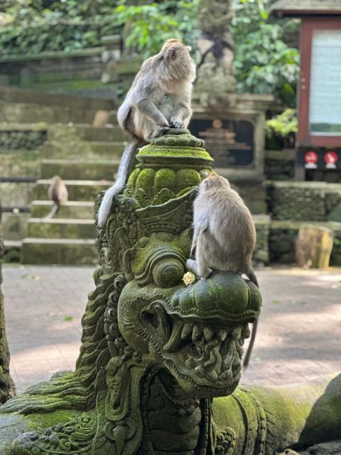 Bali Ubud : Monkey Forest, Waterfall , Temple - Monkey Forest Sanctuary
