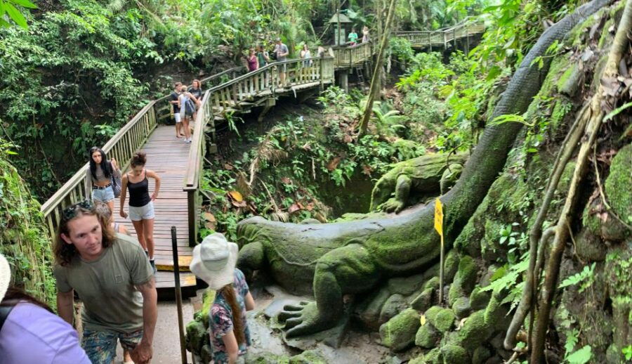 Bali: Ubud Rice Terraces, Monkey Forest & Waterfall Tour - Tour Duration and Inclusions