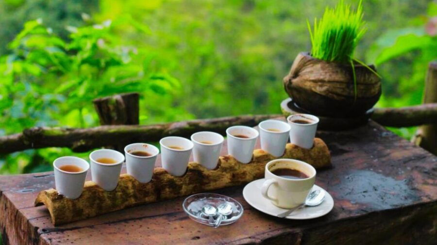 Bali: Ubud Rice Terraces, Monkey Forest & WaterfallTour - Good To Know