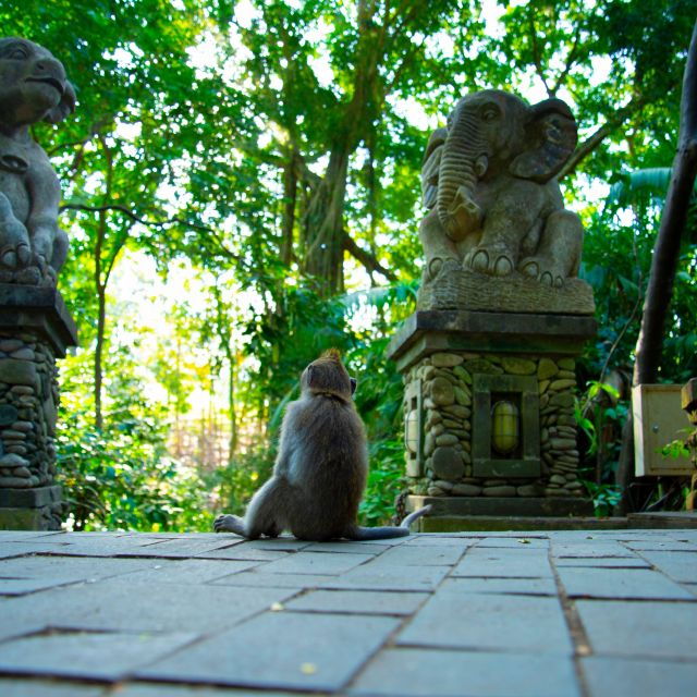 Bali: Ubud Unveiled Day Tour With Private Driver - Booking Details