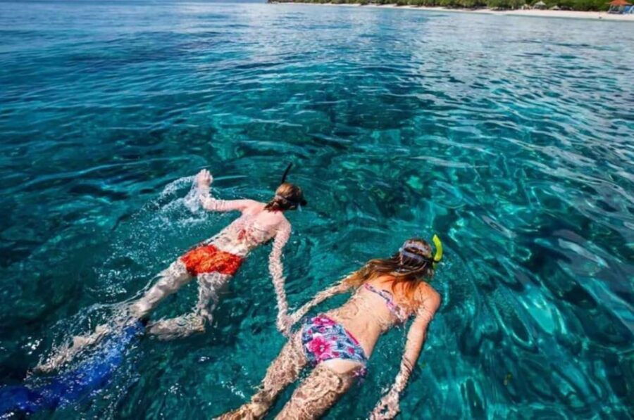 Bali: Watching Dolphin, Snorkeling & Hot Spring Tour - Booking and Reservation Options