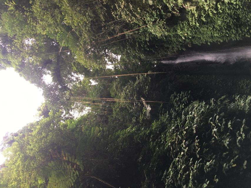 Bali Waterfalls Quest, Discover 4 Waterfalls in 1 Day