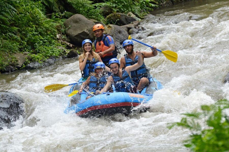 Bali White Water Rafting: Lunch & Private Transfer Included - Good To Know