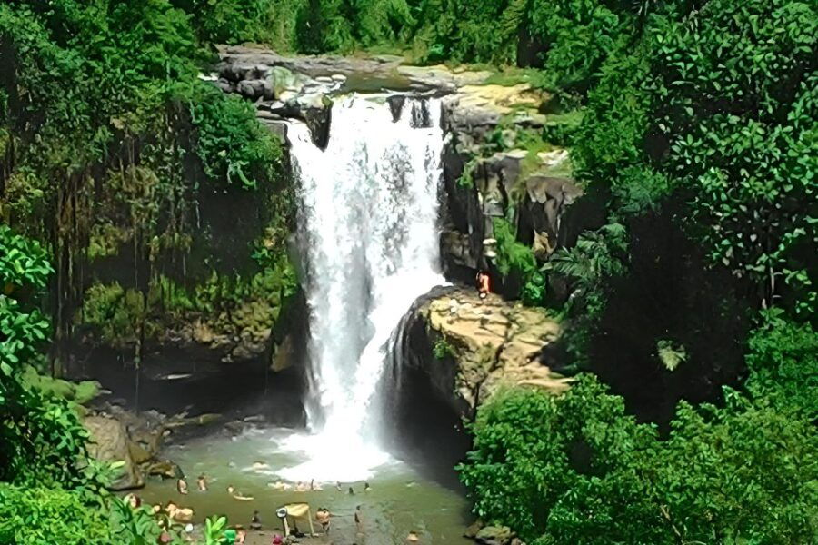 Bali : Your Private Driver For Customized Tour - Booking Details