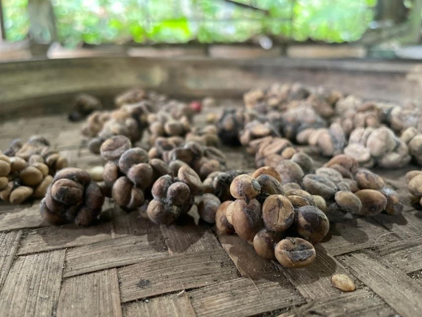 Bali's Sunrise Jeep Expedition: Batur & Coffee Delights - Good To Know