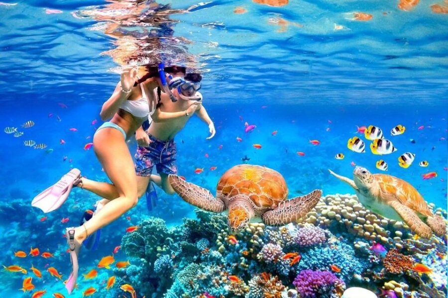 Bali:Snorkeling at Blue Lagoon With Lunch & Transfer - Tour Highlights