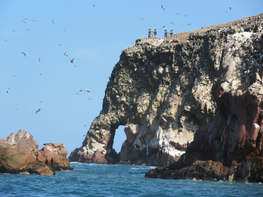 Ballestas Islands: Boat Excursion Shared Tour
