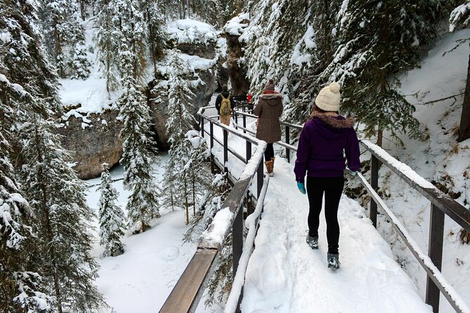 Banff National Park & Lake Louise FULL DAY PRIVATE TOUR - The Sum Up