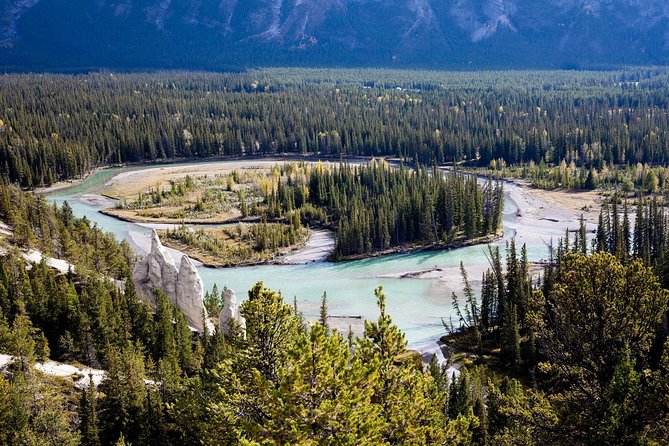 Banff Tour With Gondola & Lake Cruise - Roundtrip From Banff - Highlights of the Tour