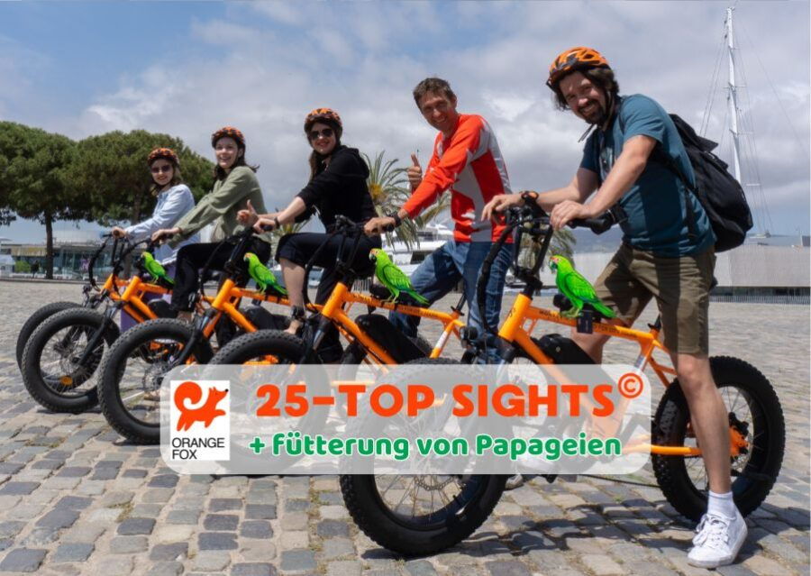 Barcelona: 25-Top Tour With a Local German Guide, Bike/Ebike - Good To Know