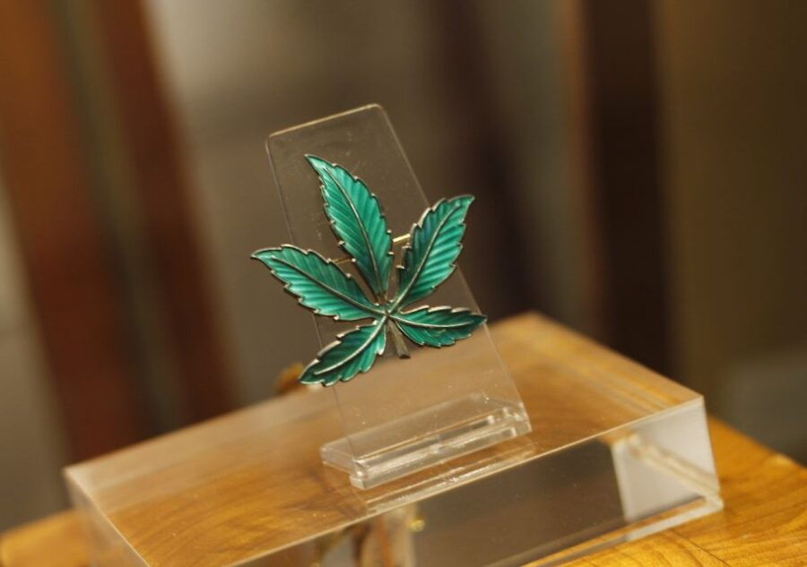 Barcelona: Hash Marihuana & Hemp Museum Entry Ticket - Good To Know