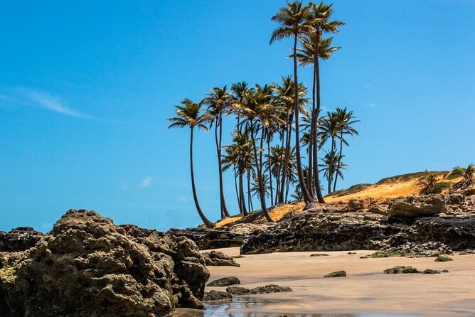 Beach Tour Delight: Lagoinha Adventure Beckons