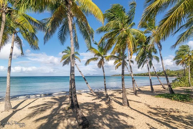 Beachcombing in Paradise South Caribbean V.I.P Tour - Good To Know