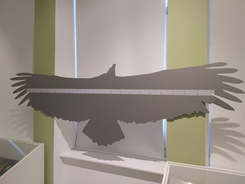 Beli - Tramontana Walk and History Tour - Booking Information