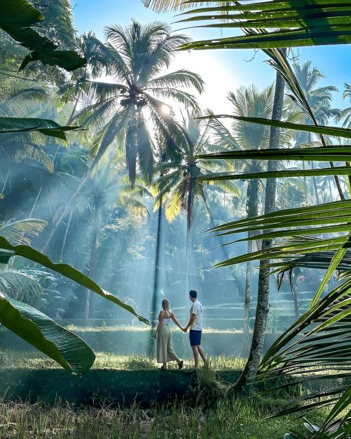 Best Ubud Tour - Good To Know