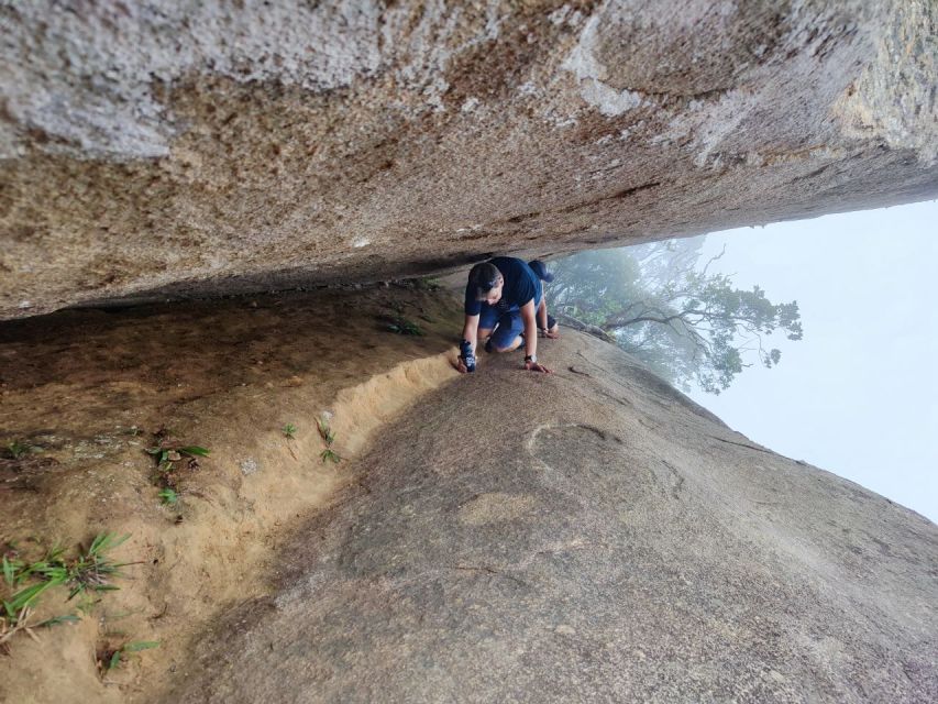 Bico Do Papagaio/Parrtos Beak: Fun Hike in Tijucas Forest - Highlights of the Hike